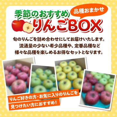 【品種お任せ】季節のおすすめりんご 詰め合わせ 約5kg 家庭用 青森県|24_eba-060501