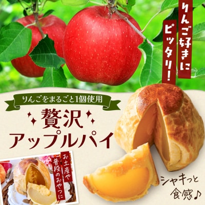 アップルパイ 気になるリンゴ 3個入 ラグノオささき|24_ras-010301