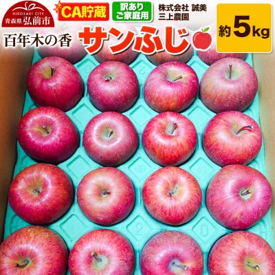 【訳あり】百年木の香 三上農園 サンふじ 約5kg (14～20玉程度)|24_mkn-150501