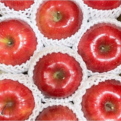 りんご サンふじ 家庭用 約3kg【弘前市産・青森りんご】|24_gnz-030301