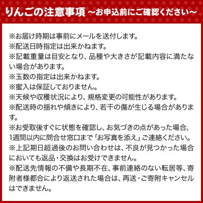 りんご サンふじ 家庭用 約10kg【弘前市産・青森りんご】|24_gnz-031001
