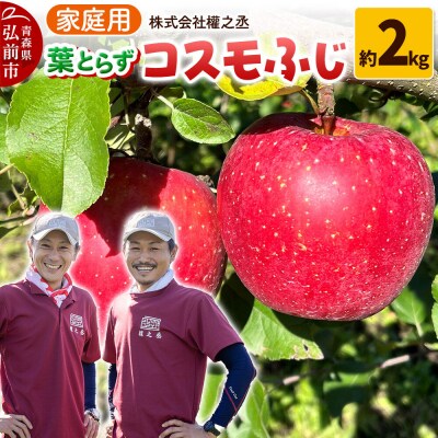 りんご コスモふじ【家庭用】約2kg 權之丞 葉とらず 青森りんご|24_gnz-040201