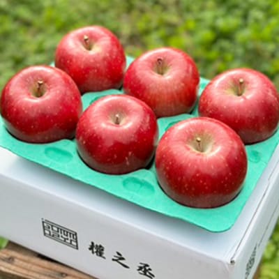 りんご コスモふじ 家庭用 約2kg【弘前市産・青森りんご】|24_gnz-040201