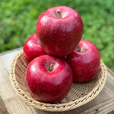 りんご コスモふじ 家庭用 約2kg【弘前市産・青森りんご】|24_gnz-040201