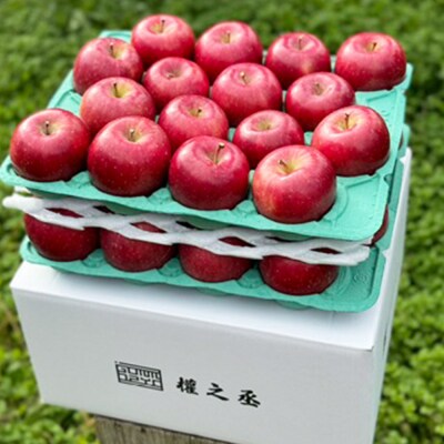 りんご コスモふじ 家庭用 約10kg【弘前市産・青森りんご】|24_gnz-041001