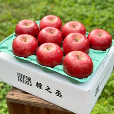 りんご コスモふじ 家庭用 約3kg【弘前市産・青森りんご】|24_gnz-040301