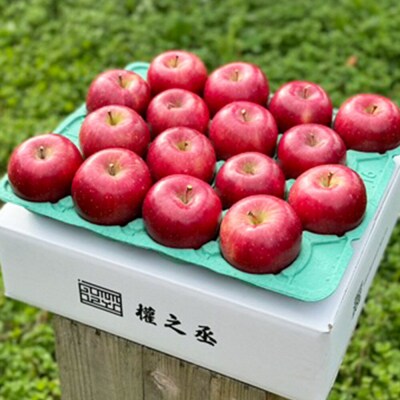 りんご コスモふじ 家庭用約5kg【弘前市産・青森りんご】|24_gnz-040501