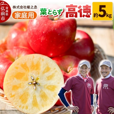 りんご 高徳【家庭用】約5kg 權之丞 葉とらずりんご 青森りんご|24_gnz-050501