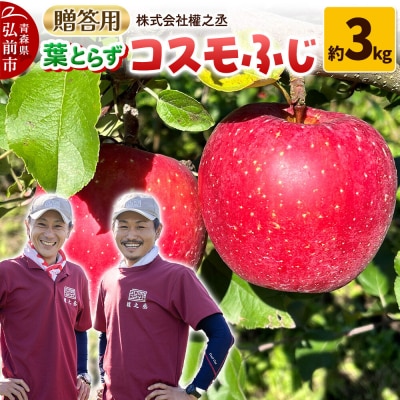 りんご コスモふじ【贈答用】約3kg 權之丞 葉とらず 青森りんご|24_gnz-120301
