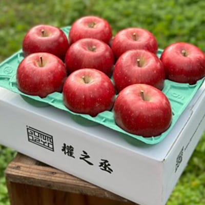 りんご コスモふじ 贈答用 約3kg【弘前市産・青森りんご】|24_gnz-120301