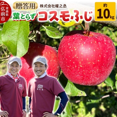 りんご コスモふじ【贈答用】約10kg 權之丞 葉とらず 青森りんご|24_gnz-121001