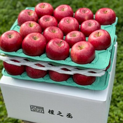 りんご コスモふじ 贈答用 約10kg【弘前市産・青森りんご】|24_gnz-121001