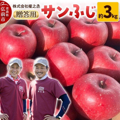 りんご サンふじ【贈答用】約3kg 權之丞 青森りんご|24_gnz-130301