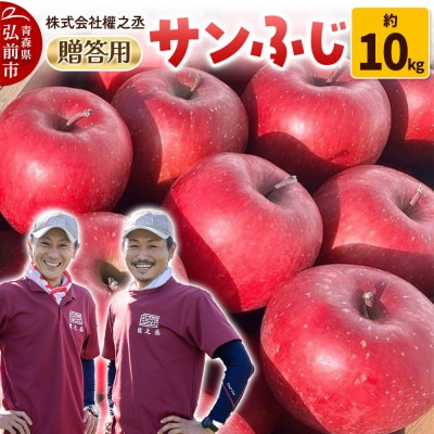りんご サンふじ【贈答用】約10kg 權之丞 青森りんご|24_gnz-131001