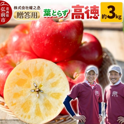 りんご 高徳【贈答用】約3kg 權之丞 葉とらずりんご 青森りんご|24_gnz-160301