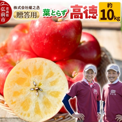 りんご 高徳【贈答用】約10kg 權之丞 葉とらずりんご 青森りんご|24_gnz-161001