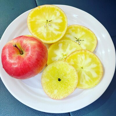 りんご 權之丞 高徳 贈答用 約10kg【弘前市産・青森りんご】|24_gnz-161001