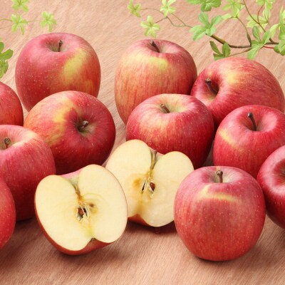 【26年1月発送】りんご 葉取らずサンふじ【良品】約5kg|24_kta-020501a