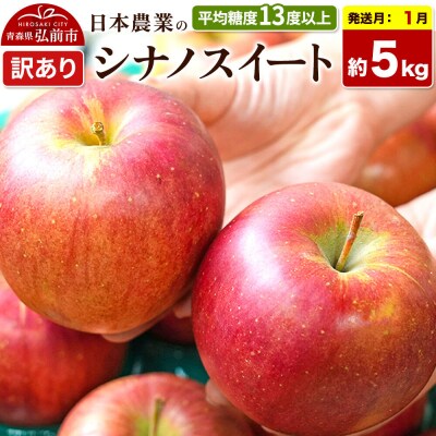 りんご【27年1月発送】シナノスイート【訳あり】約5kg|24_nng-070501ah