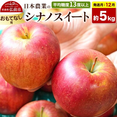 りんご【26年12月発送】シナノスイート【おもてなし用】約5kg|24_nng-070501bg