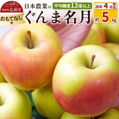 りんご【26年4月出荷】ぐんま名月 約5kg おもてなし用 CA貯蔵|24_nng-090501bk