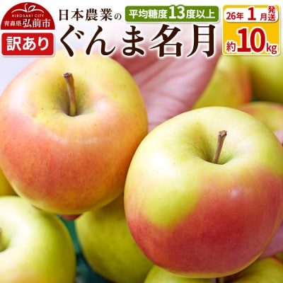 りんご 【26年1月出荷】 ぐんま名月 約10kg 訳あり|24_nng-091001ah