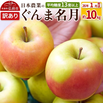 りんご 【26年1月出荷】 ぐんま名月 約10kg 訳あり|24_nng-091001ah