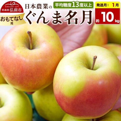 【27年1月発送】りんご ぐんま名月【おもてなし用】約10kg|24_nng-091001bh