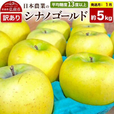【27年1月発送】りんご シナノゴールド【訳あり】約5kg|24_nng-100501ah