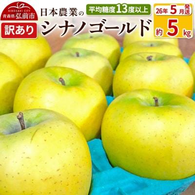 りんご【26年5月出荷】 シナノゴールド 約5kg 訳あり CA貯蔵|24_nng-100501al