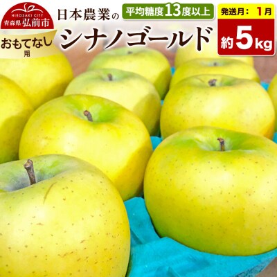 【27年1月発送】りんご シナノゴールド【おもてなし用】約5kg|24_nng-100501bh
