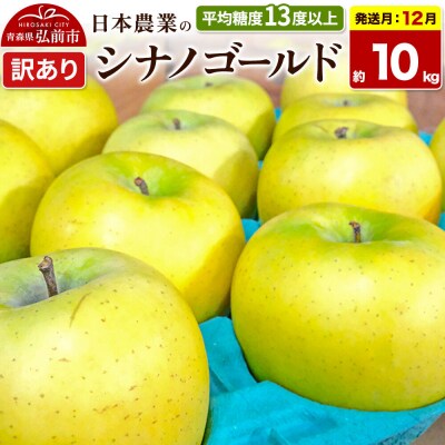 【26年12月発送】りんご シナノゴールド【訳あり】約10kg|24_nng-101001ag