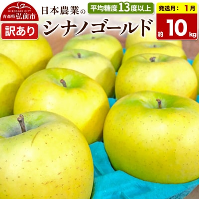 【27年1月発送】りんご シナノゴールド【訳あり】約10kg|24_nng-101001ah