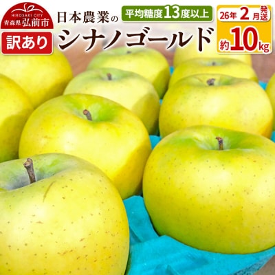 りんご 【26年2月出荷】 シナノゴールド 約10kg 訳あり|24_nng-101001ai