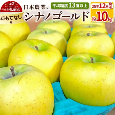 りんご【25年12月出荷】 シナノゴールド 約10kg おもてなし用|24_nng-101001bg