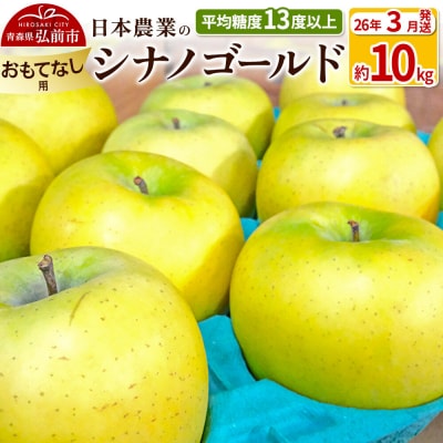 りんご 【26年3月出荷】 シナノゴールド 約10kg おもてなし用|24_nng-101001bj
