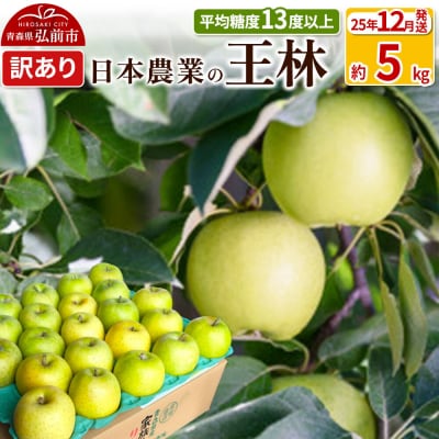 りんご 【25年12月出荷】 王林 約5kg 訳あり|24_nng-110501ag