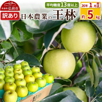 りんご 【26年1月出荷】 王林 約5kg 訳あり|24_nng-110501ah