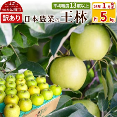 りんご 【26年1月出荷】 王林 約5kg 訳あり|24_nng-110501ah