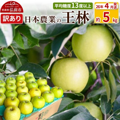 りんご 【26年4月出荷】 王林 約5kg 訳あり CA貯蔵|24_nng-110501ak