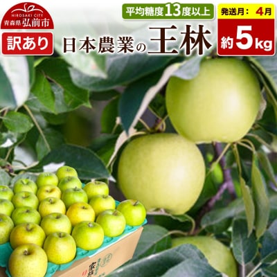 りんご【27年4月クール便発送】王林【訳あり】約5kg【CA貯蔵】|24_nng-110501ak