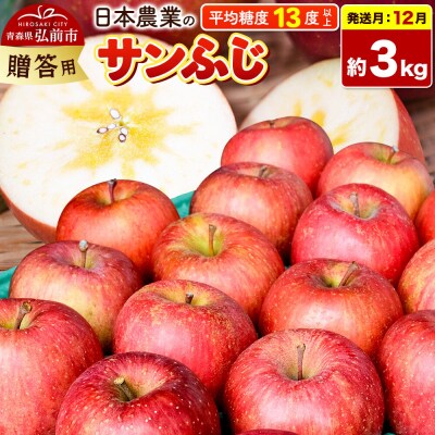 りんご【26年12月発送】サンふじ【贈答用】約3kg|24_nng-120301cg