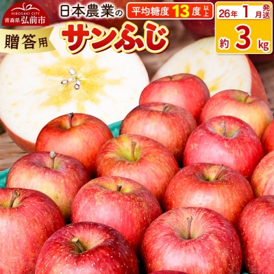 りんご 【26年1月出荷】 サンふじ 約3kg 贈答|24_nng-120301ch