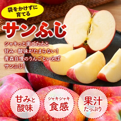 りんご 【25年12月出荷】 サンふじ 約5kg 贈答|24_nng-120501cg