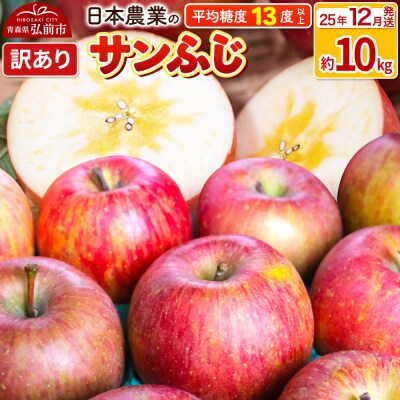 りんご 【25年12月出荷】 サンふじ 約10kg 訳あり|24_nng-121001ag