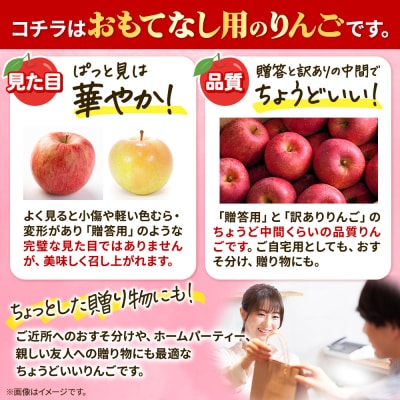 りんご 【26年3月出荷】 サンふじ 約10kg おもてなし用|24_nng-121001bj