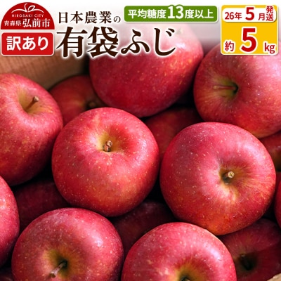 りんご 【26年5月出荷】 有袋ふじ 約5kg 訳あり CA貯蔵|24_nng-490501al