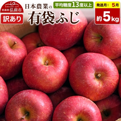 りんご【27年5月発送】有袋ふじ【訳あり】約5kg CA貯蔵|24_nng-490501al
