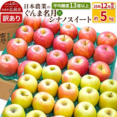 【25年12月出荷】 ぐんま名月×シナノスイート 約5kg 訳あり|24_nng-510501ag