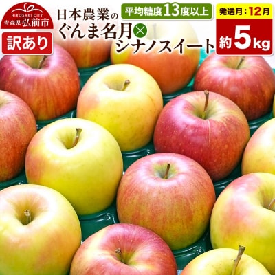 りんご ぐんま名月×シナノスイート【訳あり】約5kg|24_nng-510501ag
